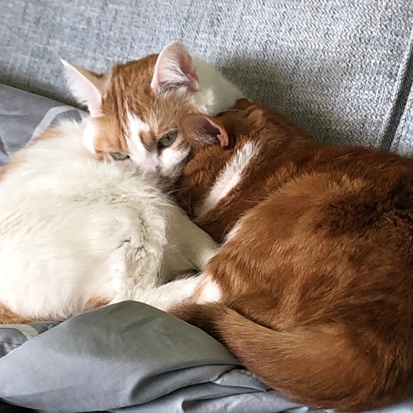 Meet your Posher, Crystal - Picture 1 of 1